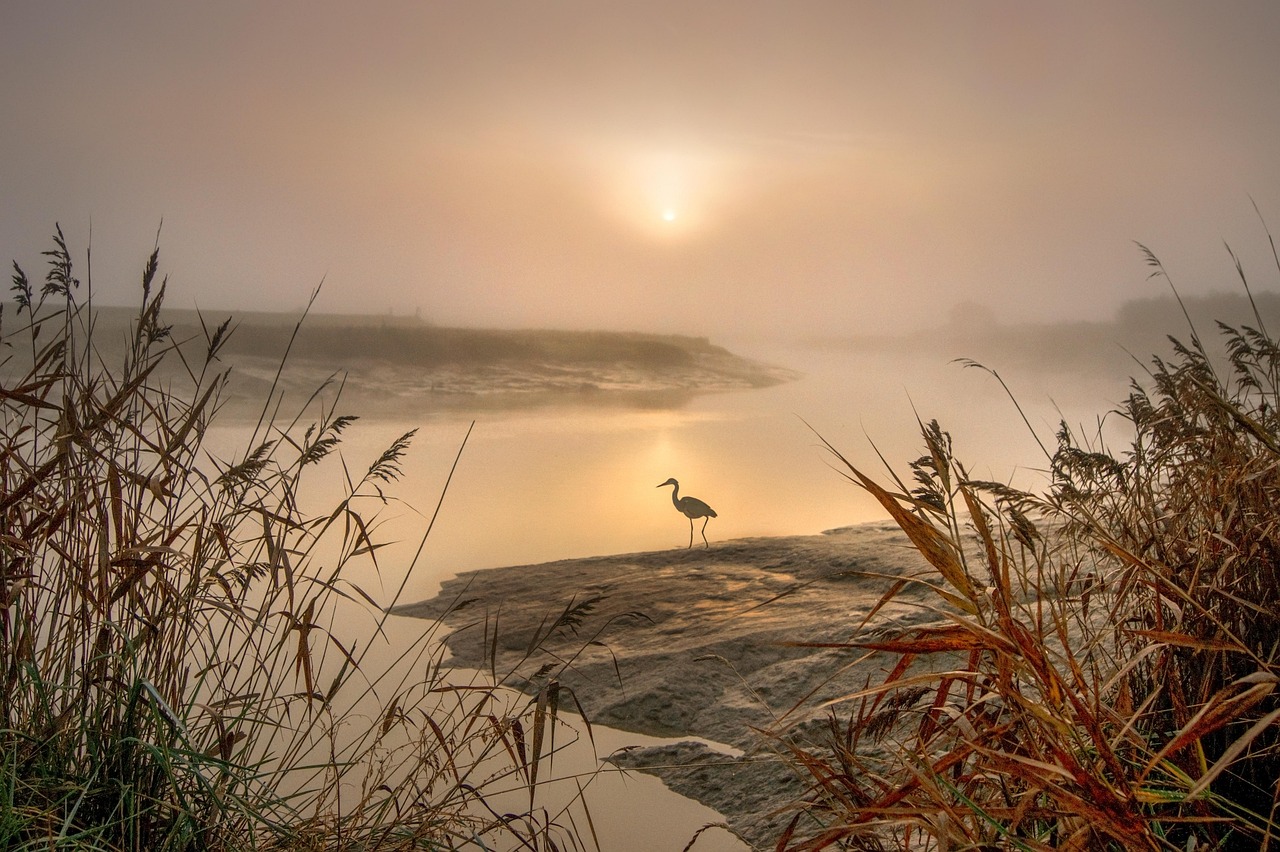 The Ferryman Who Collected Unfinished Songs